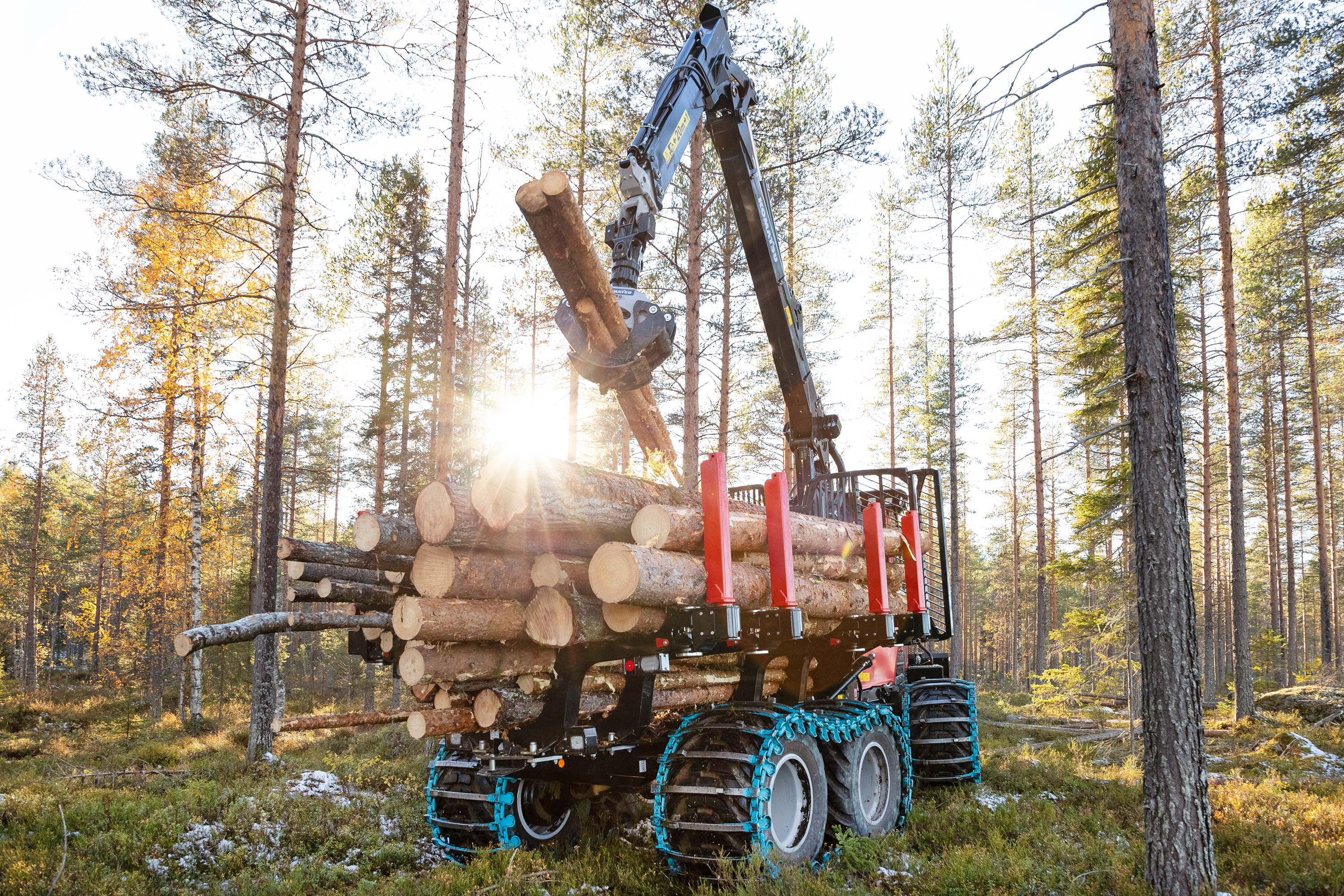 Forest tree shop cutting machine